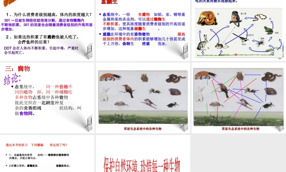 八年级生物下册 第一章第二节食物链和食物网课件 济南版 课件