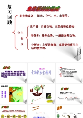 八年级生物下册 第一章第二节食物链和食物网课件 济南版 课件