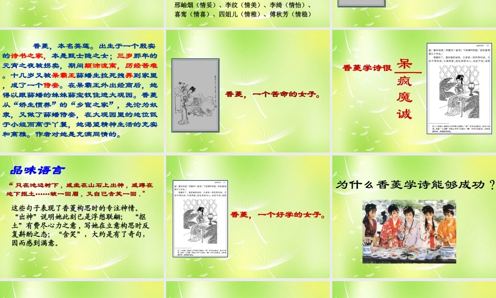 九年级语文上册 第香菱学诗课件 新人教版 课件
