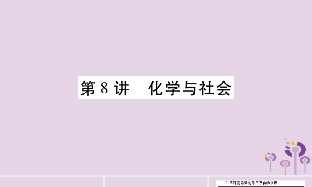 中考化学复习 第一部分 基础知识 第一单元 常见的物质 第8讲 化学与社会(精讲)课件