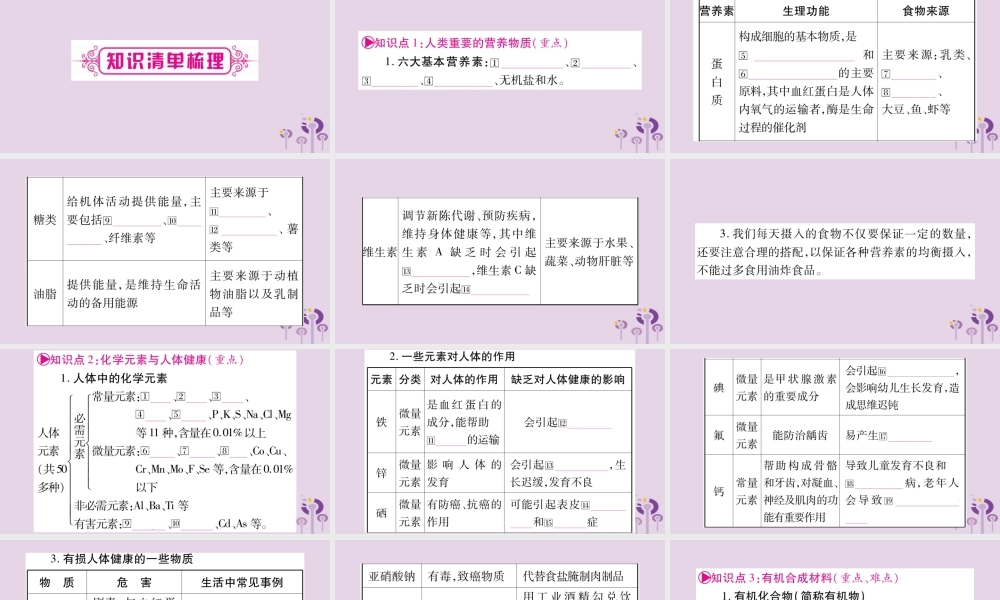 中考化学复习 第一部分 基础知识 第一单元 常见的物质 第8讲 化学与社会(精讲)课件