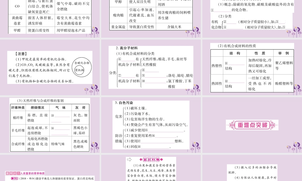 中考化学复习 第一部分 基础知识 第一单元 常见的物质 第8讲 化学与社会(精讲)课件