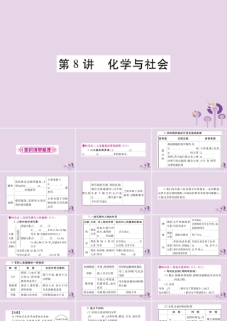 中考化学复习 第一部分 基础知识 第一单元 常见的物质 第8讲 化学与社会(精讲)课件