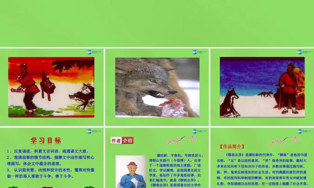 中学七年级语文下册(第30课 狼)课件 新人教版 课件