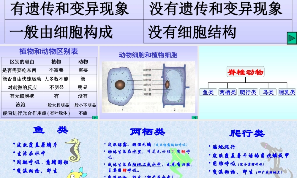 初中科学生物与非生物区别, 植物和动物区别 课件