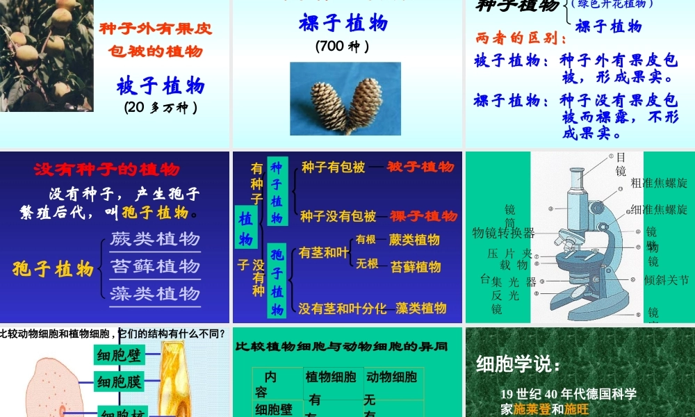 初中科学生物与非生物区别, 植物和动物区别 课件