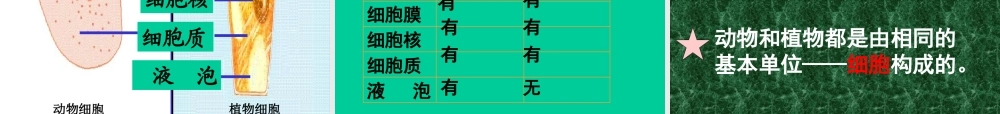 初中科学生物与非生物区别, 植物和动物区别 课件