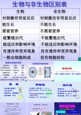 初中科学生物与非生物区别, 植物和动物区别 课件
