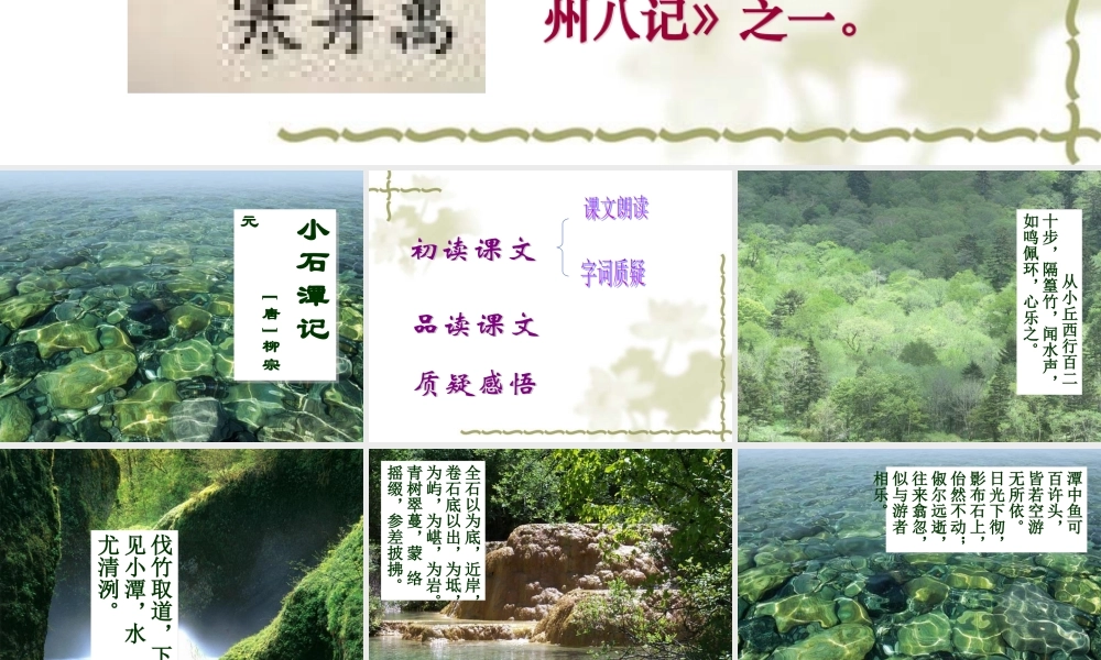八年级语文小石潭记课件3语文版 课件