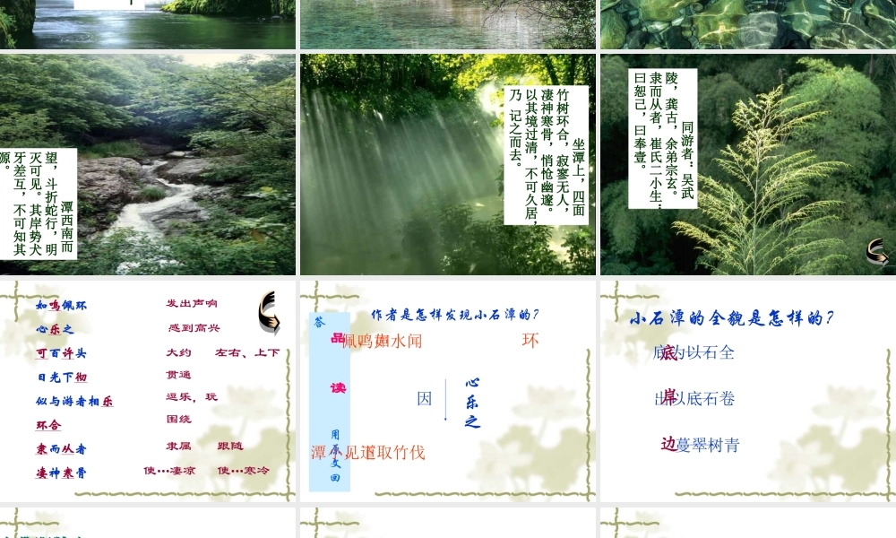 八年级语文小石潭记课件3语文版 课件