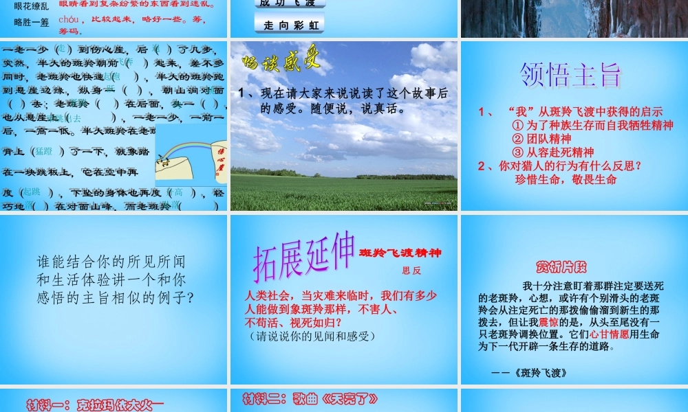 中学七年级语文下册 27 斑羚飞度课件3 新人教版 课件