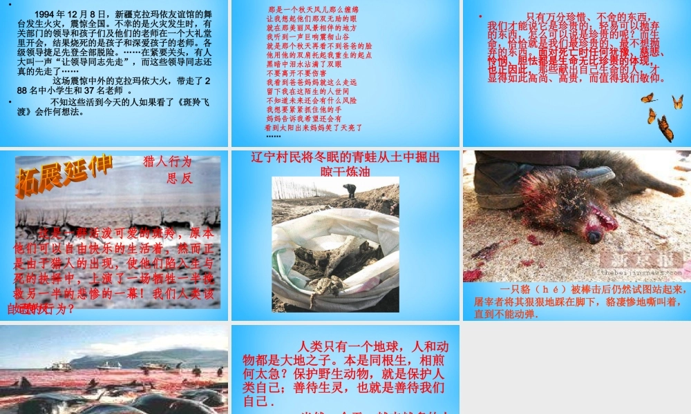 中学七年级语文下册 27 斑羚飞度课件3 新人教版 课件