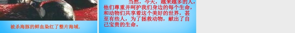 中学七年级语文下册 27 斑羚飞度课件3 新人教版 课件