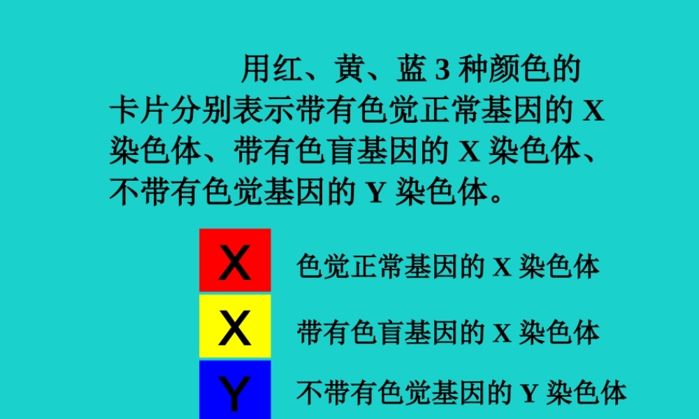 八年级生物上册 第十一章 第三节 人类的遗传 卡片排放活动课件 (新版)北京版 课件