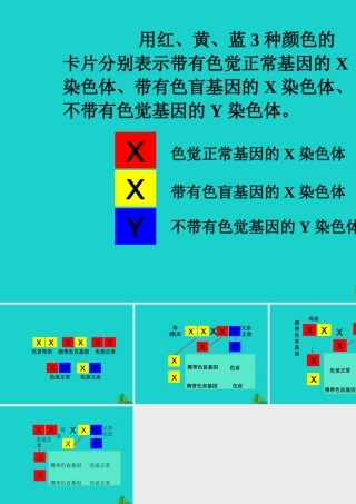 八年级生物上册 第十一章 第三节 人类的遗传 卡片排放活动课件 (新版)北京版 课件