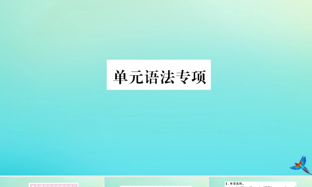 九年级英语全册 Unit 7 Teenagers should be allowed to choose their own clothes单元语法专项习题课件 (新版)人教新目标版 课件