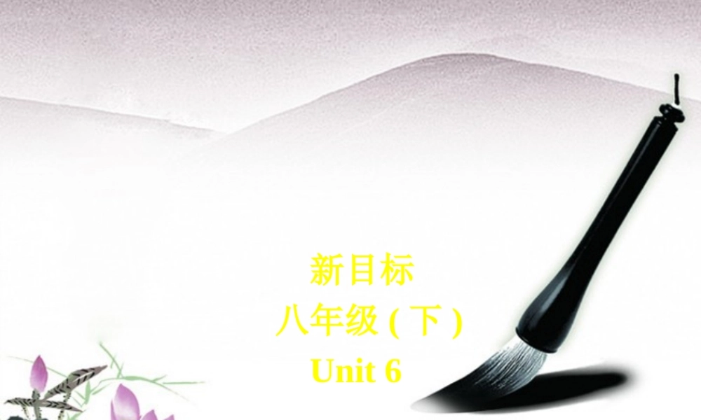 八年级英语下册 unit6How long have youbeen collecting shells？课件 人教新目标版 课件