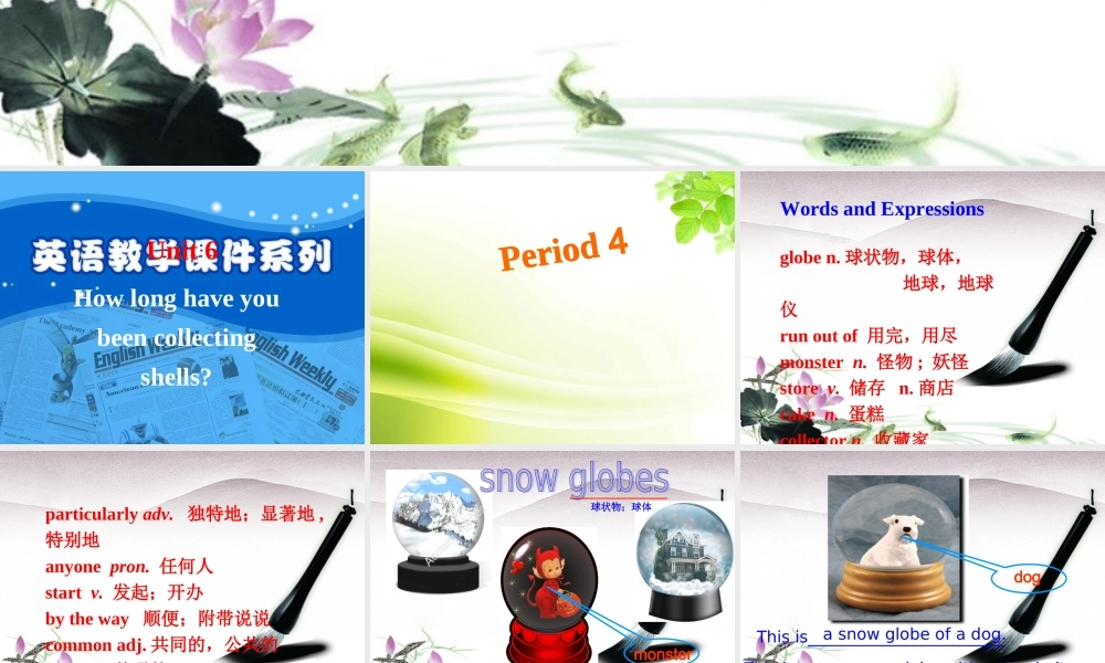 八年级英语下册 unit6How long have youbeen collecting shells？课件 人教新目标版 课件