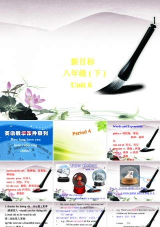 八年级英语下册 unit6How long have youbeen collecting shells？课件 人教新目标版 课件