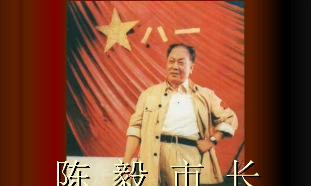 九年级语文陈毅市长 苏教版 课件