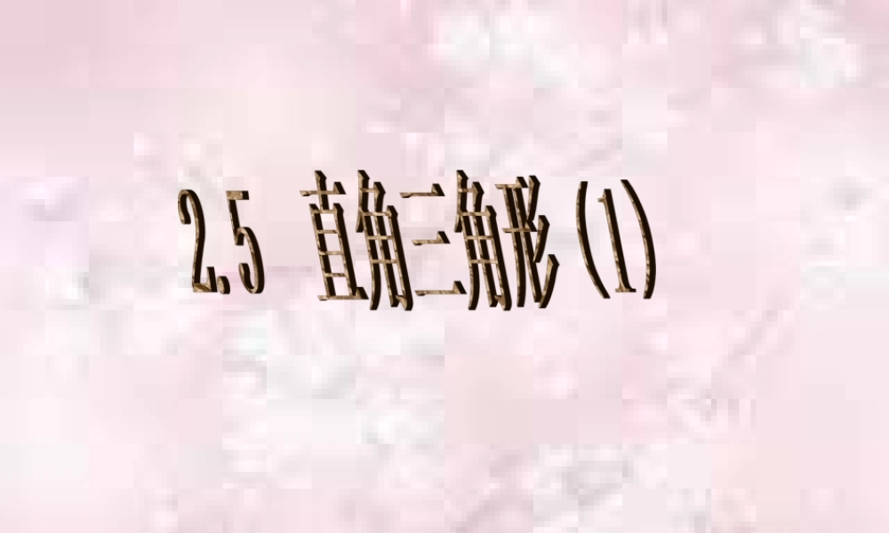 八年级数学直角三角形课件6 浙教版 课件