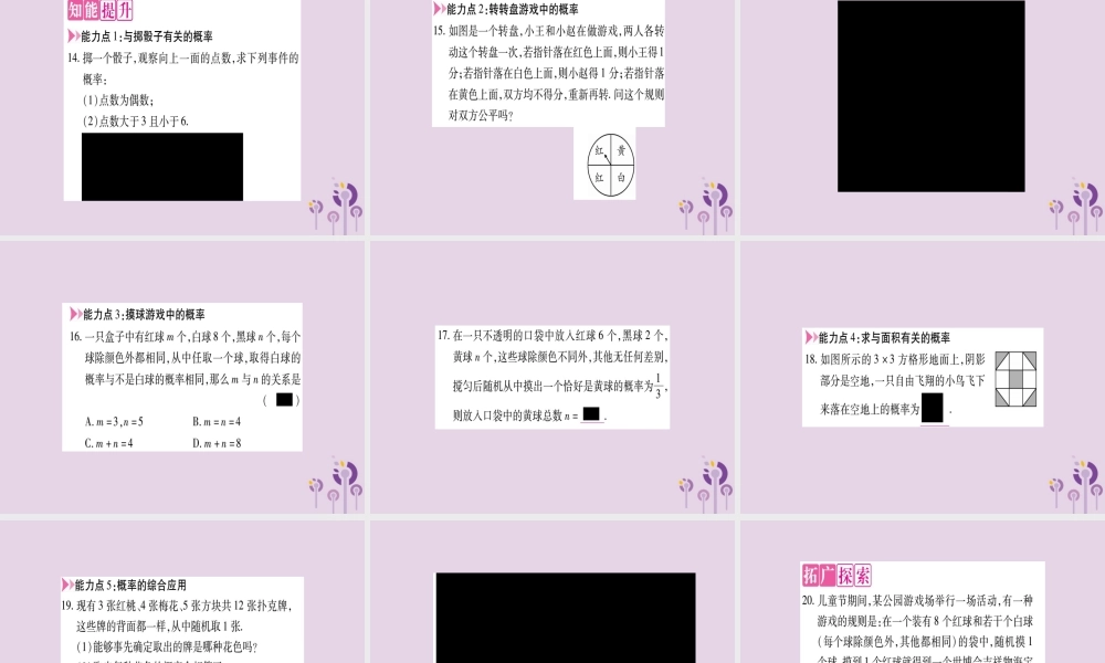 九年级数学上册 第二十五章 概率初步 251 随机事件与概率 2512 概率作业课件 (新版)新人教版 课件