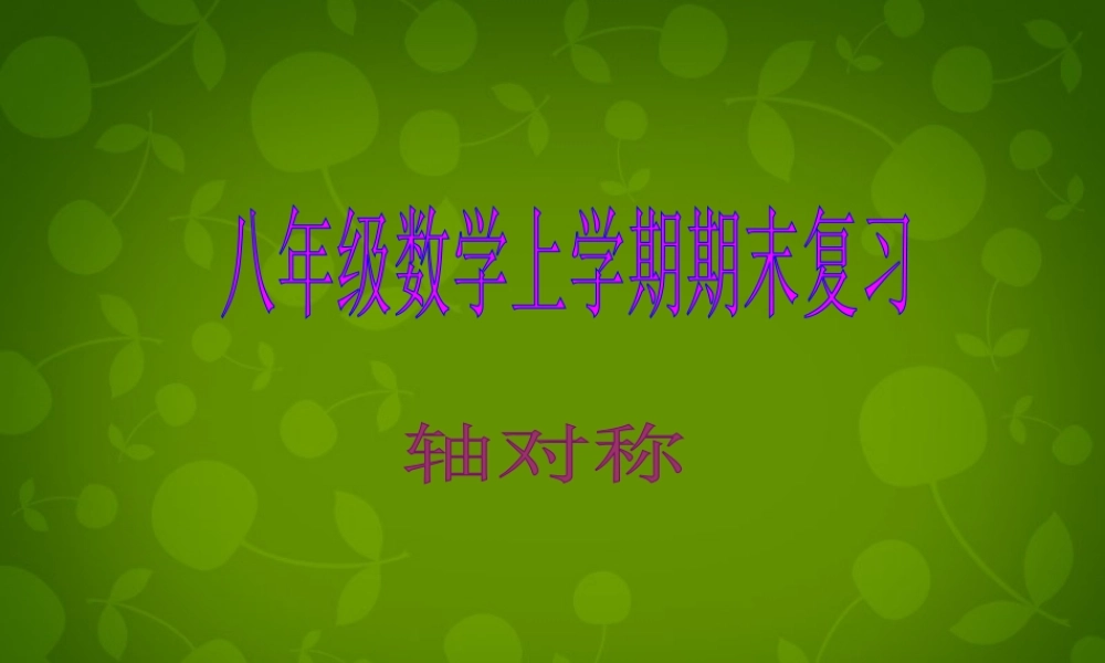 八年级数学上册 12 轴对称课件 新人教版 课件