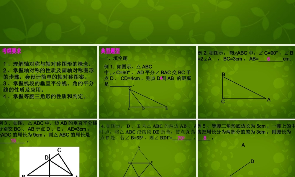 八年级数学上册 12 轴对称课件 新人教版 课件