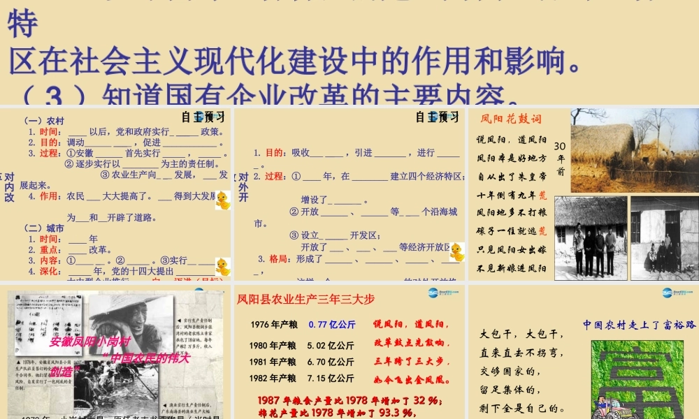 八年级历史下册 9 改革开放课件3 新人教版 课件