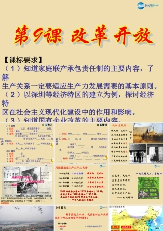 八年级历史下册 9 改革开放课件3 新人教版 课件