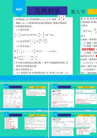 中考数学复习 第4章 几何初步 第9节 相似三角形课件