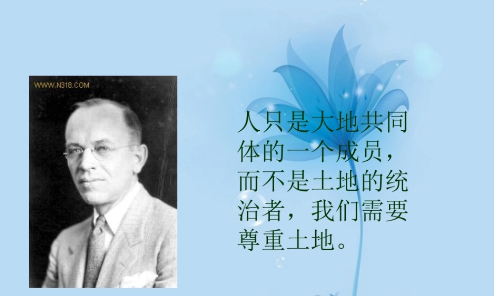 八年级语文下册(大雁归来)课件 新人教版 课件