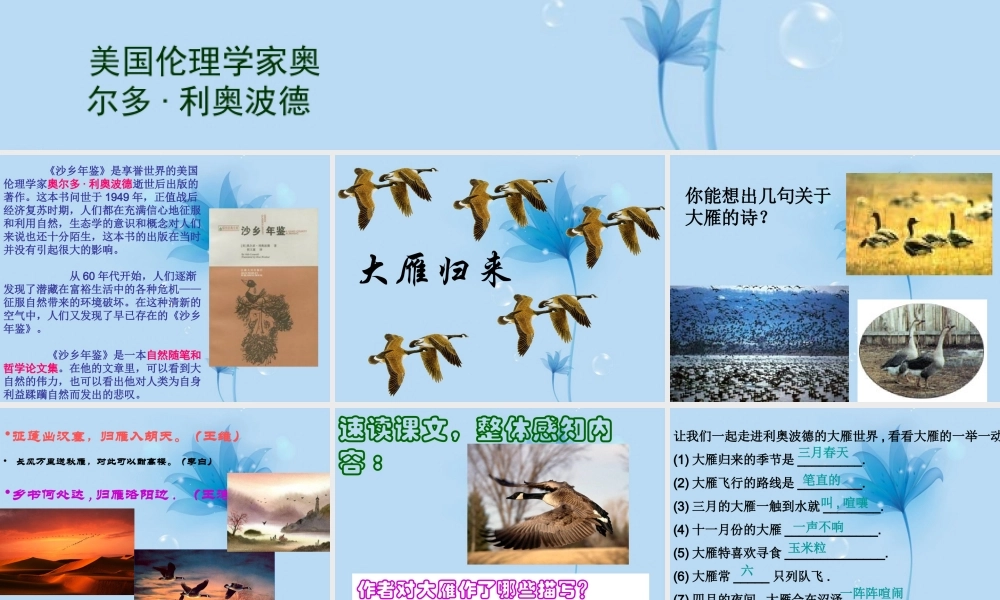 八年级语文下册(大雁归来)课件 新人教版 课件