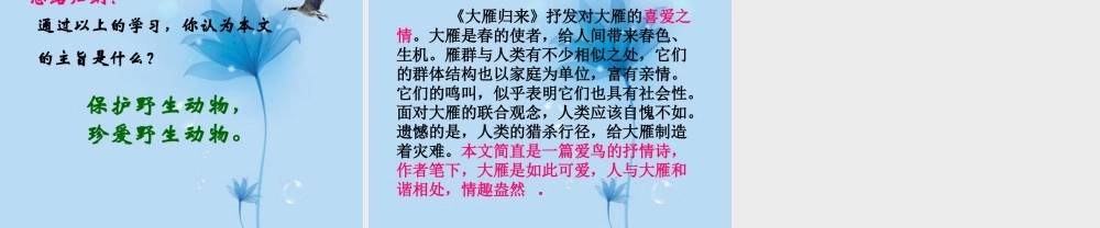 八年级语文下册(大雁归来)课件 新人教版 课件