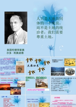 八年级语文下册(大雁归来)课件 新人教版 课件