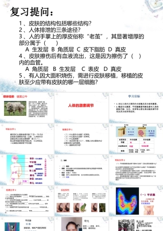 七年级生物下册 3.5.1 人体的激素调节课件 (新版)济南版 课件