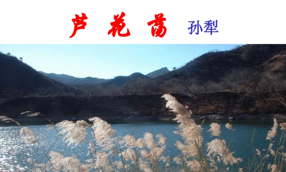 七年级语文下册 (芦花荡)课件(四) 鲁教版 课件