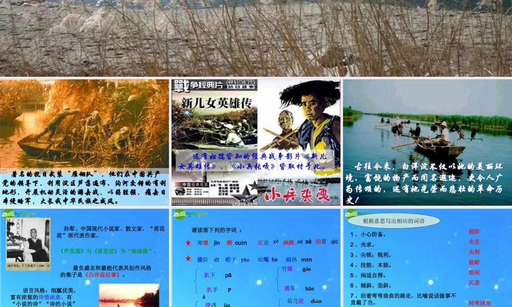 七年级语文下册 (芦花荡)课件(四) 鲁教版 课件