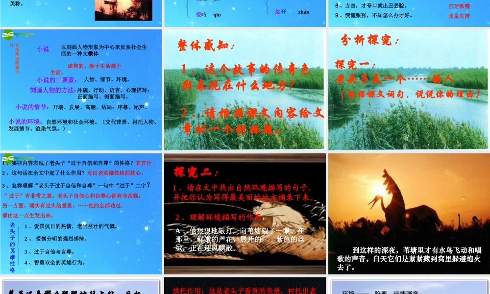 七年级语文下册 (芦花荡)课件(四) 鲁教版 课件