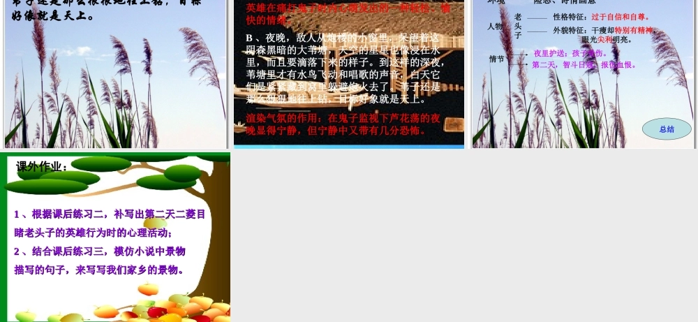 七年级语文下册 (芦花荡)课件(四) 鲁教版 课件