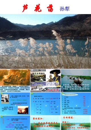 七年级语文下册 (芦花荡)课件(四) 鲁教版 课件