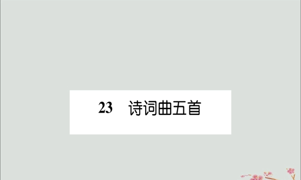九年级语文下册 第六单元 23(诗词曲五首)备课要点课件 新人教版 课件