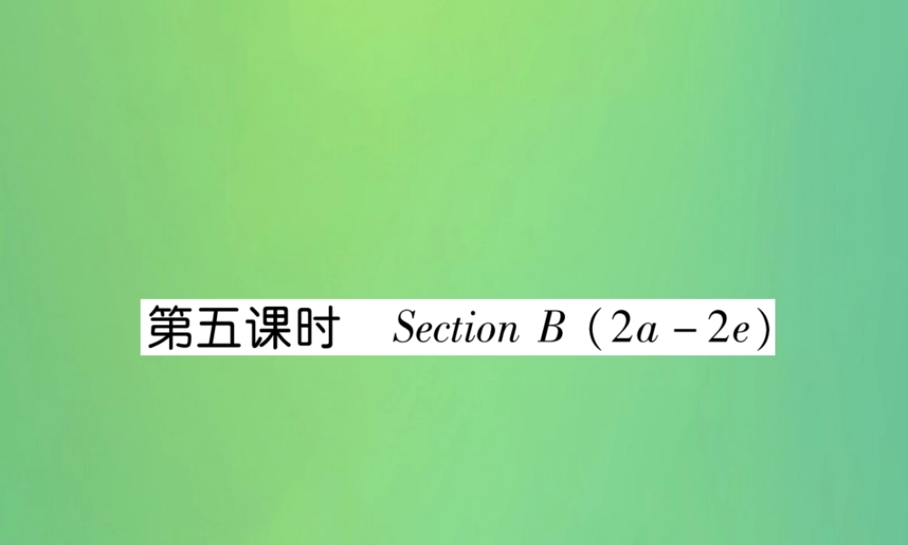 九年级英语全册 Unit 13 We re trying to save the earth(第5课时)课件 (新版)人教新目标版 课件