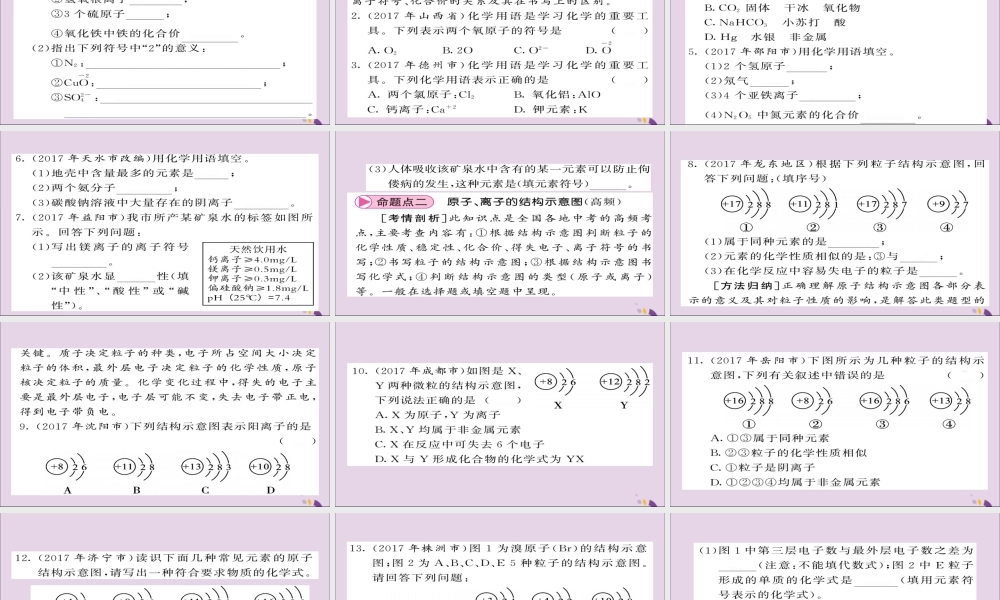 中考化学总复习 第二轮 专题训练 提升能力 专题一 化学用语课件