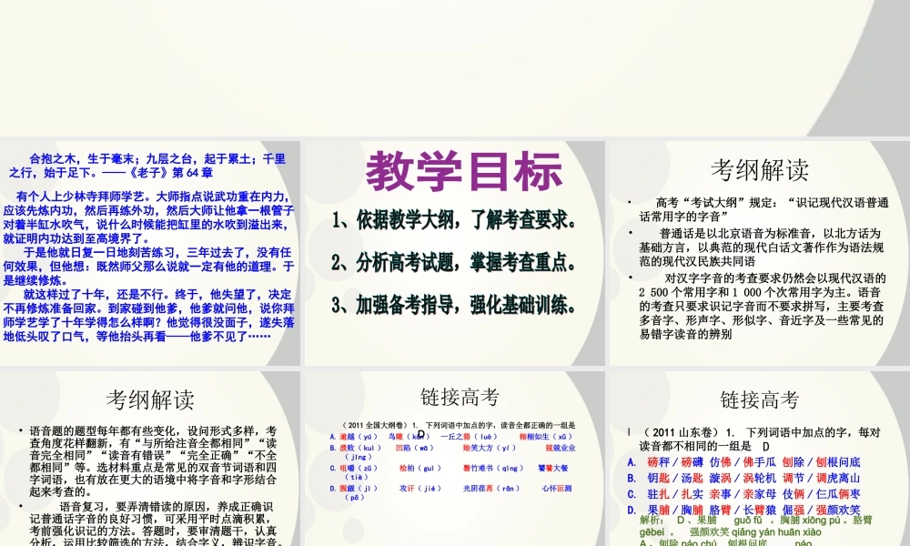 广东省深圳市宝安区一中高三语文 语音复习课件