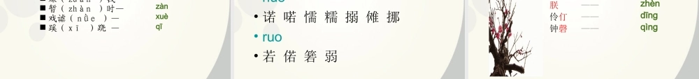 广东省深圳市宝安区一中高三语文 语音复习课件
