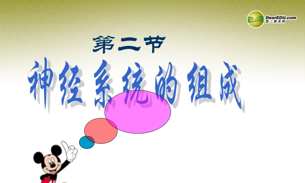 八年级生物下册 第六章 神经系统的组成复习配套课件1 鲁科版 课件