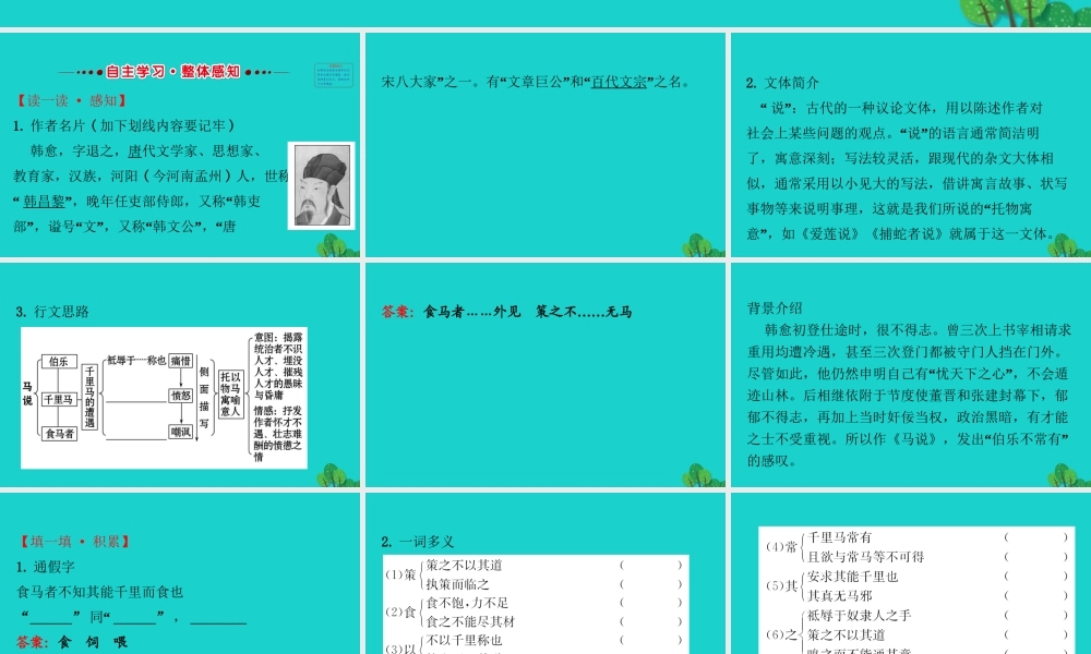 八年级语文下册 第六单元 23马说习题课件 新人教版 课件