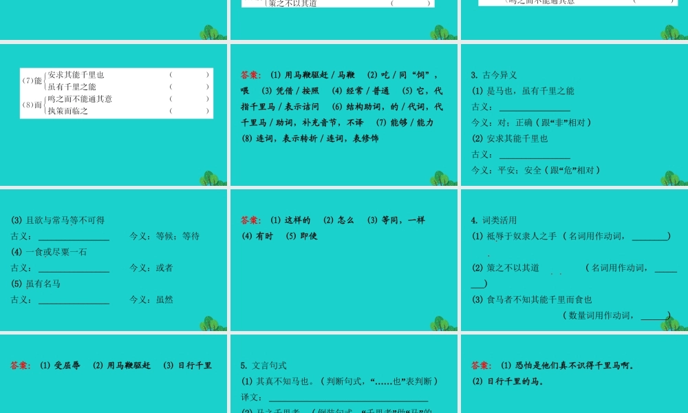 八年级语文下册 第六单元 23马说习题课件 新人教版 课件
