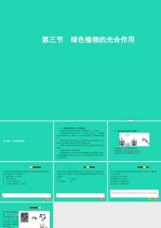 七年级生物上册 2.1.3 绿色植物的光合作用(第1课时 光合作用的产物)课件 (新版)济南版 课件